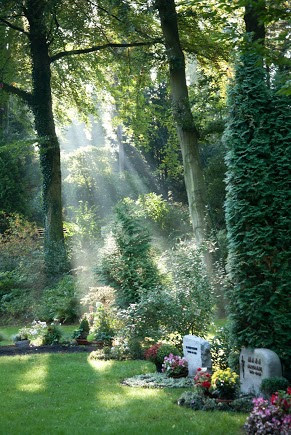 files/images/inhalte/Wahlgrab Park.jpg